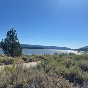 Meet your Posher, Alexander